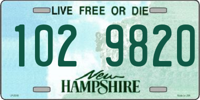 NH license plate 1029820