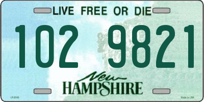 NH license plate 1029821