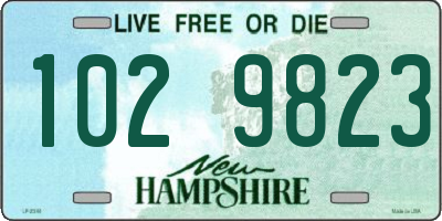 NH license plate 1029823