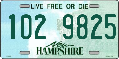 NH license plate 1029825