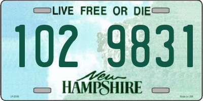 NH license plate 1029831