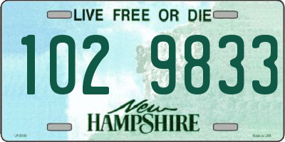 NH license plate 1029833