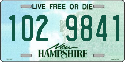 NH license plate 1029841