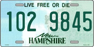 NH license plate 1029845