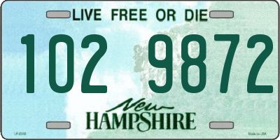 NH license plate 1029872