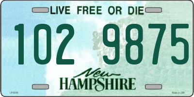 NH license plate 1029875