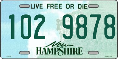 NH license plate 1029878
