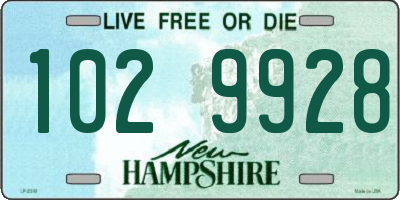 NH license plate 1029928