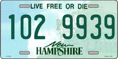 NH license plate 1029939
