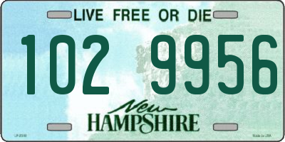 NH license plate 1029956