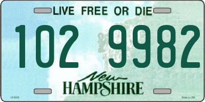 NH license plate 1029982