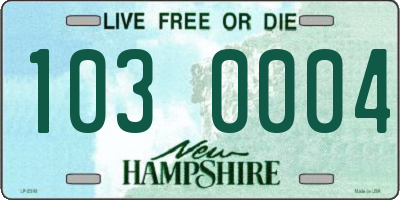 NH license plate 1030004
