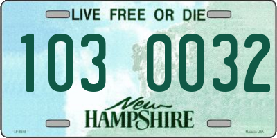 NH license plate 1030032