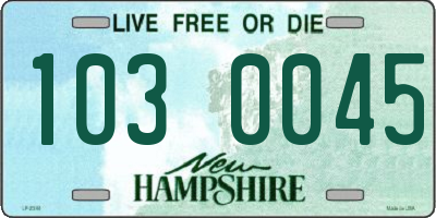 NH license plate 1030045