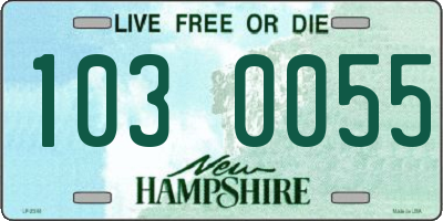 NH license plate 1030055