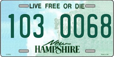 NH license plate 1030068