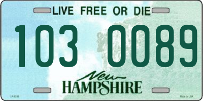NH license plate 1030089