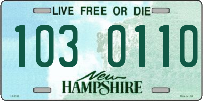 NH license plate 1030110