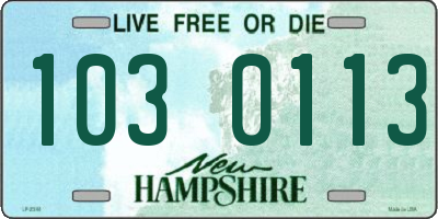 NH license plate 1030113