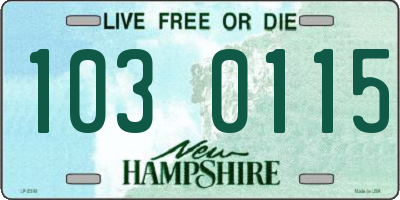NH license plate 1030115