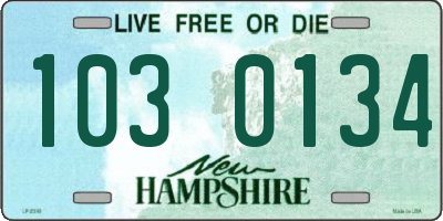 NH license plate 1030134