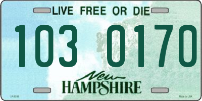 NH license plate 1030170