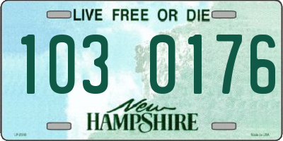 NH license plate 1030176