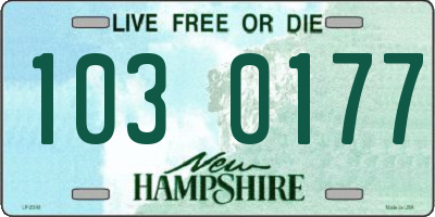 NH license plate 1030177