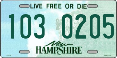 NH license plate 1030205
