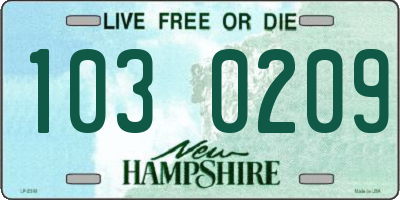 NH license plate 1030209