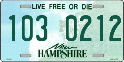 NH license plate 1030212