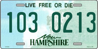 NH license plate 1030213