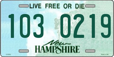 NH license plate 1030219