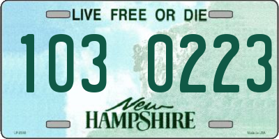 NH license plate 1030223