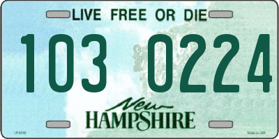 NH license plate 1030224