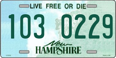 NH license plate 1030229