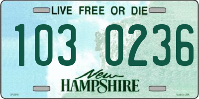 NH license plate 1030236