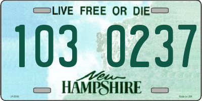 NH license plate 1030237
