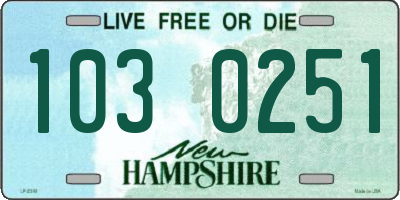 NH license plate 1030251