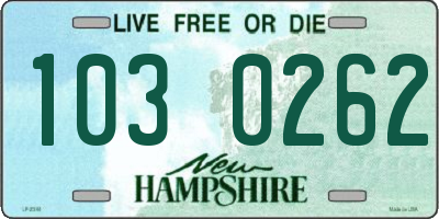 NH license plate 1030262