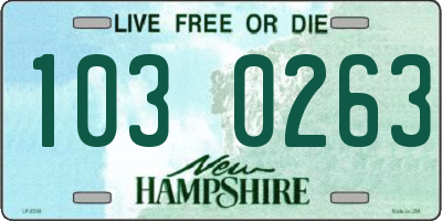 NH license plate 1030263