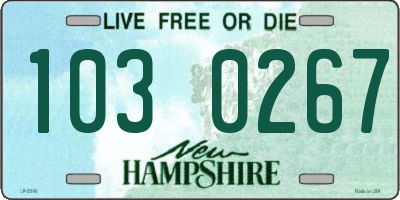 NH license plate 1030267