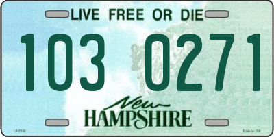 NH license plate 1030271