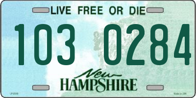 NH license plate 1030284