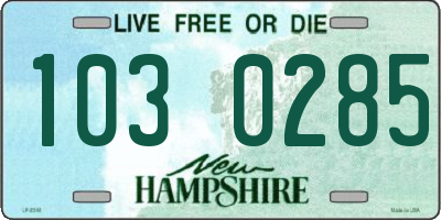 NH license plate 1030285