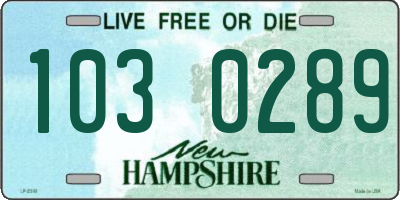 NH license plate 1030289