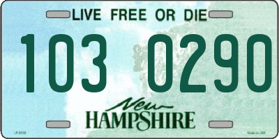 NH license plate 1030290