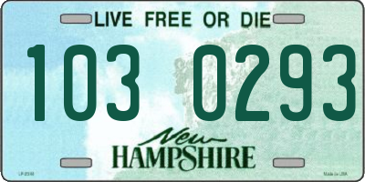 NH license plate 1030293