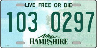 NH license plate 1030297