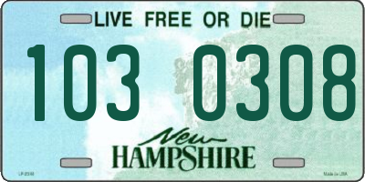 NH license plate 1030308